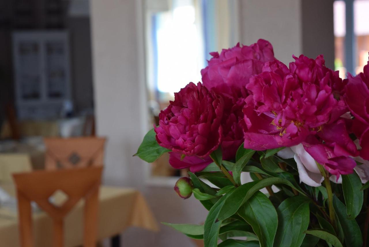 Kalmar Bed & Breakfast ดาร์โลฟโก ภายนอก รูปภาพ
